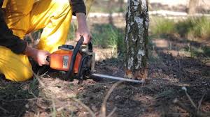 Reliable Deerfield, IL Tree Removal and Landscaping Services Solutions